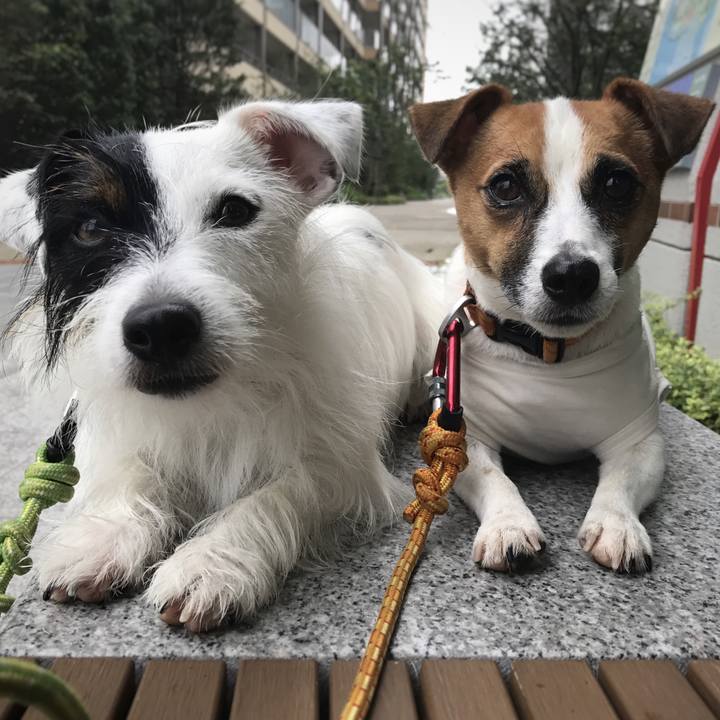 C011a7cc b9c7 48ea b7f8 26db24bd70dc