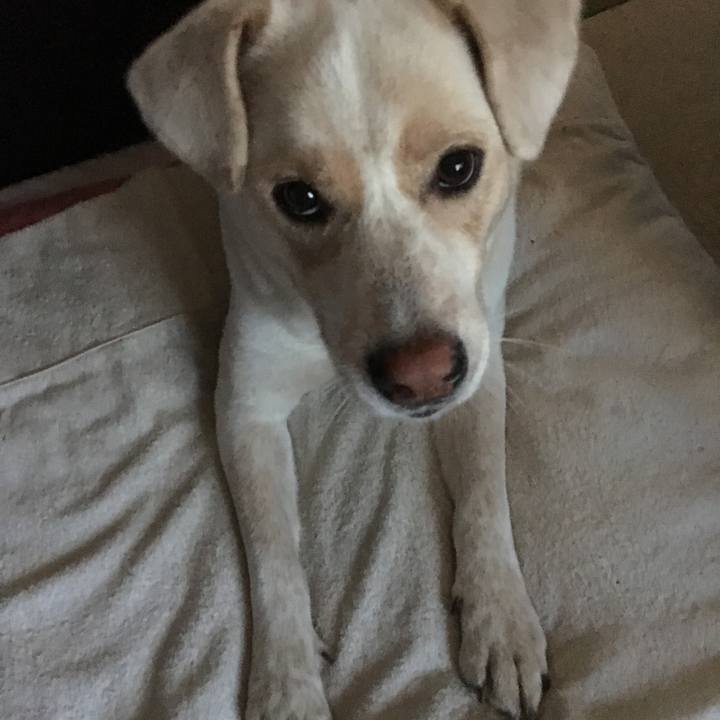 C012529c 6691 4bc2 9ab1 6d9bac6a36d5