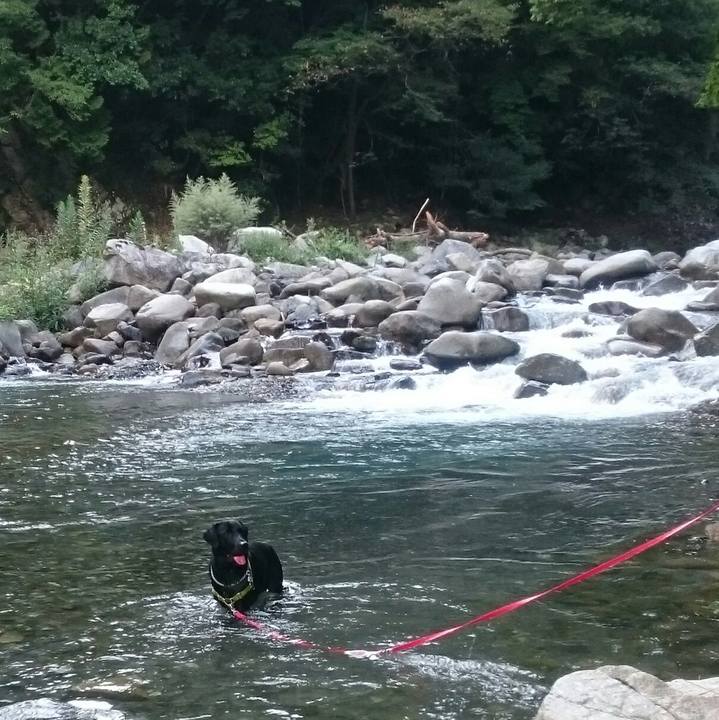 C012e78a 5549 4624 84ca 2572d594d202