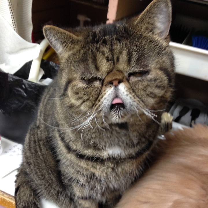 C012eee6 c90c 451b 8df4 4725b468d450