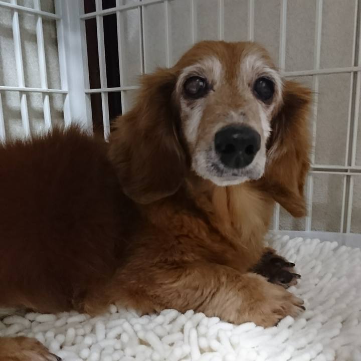 C0132eba 387c 42fc 82f4 6592789b15ed