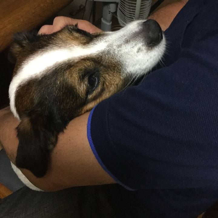 C0134772 e11b 4546 8939 f026346ce018