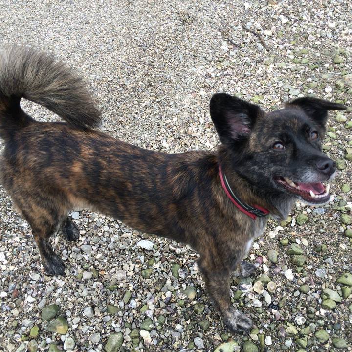 C0140c8d 9514 4453 b3db dbdd071d9c54