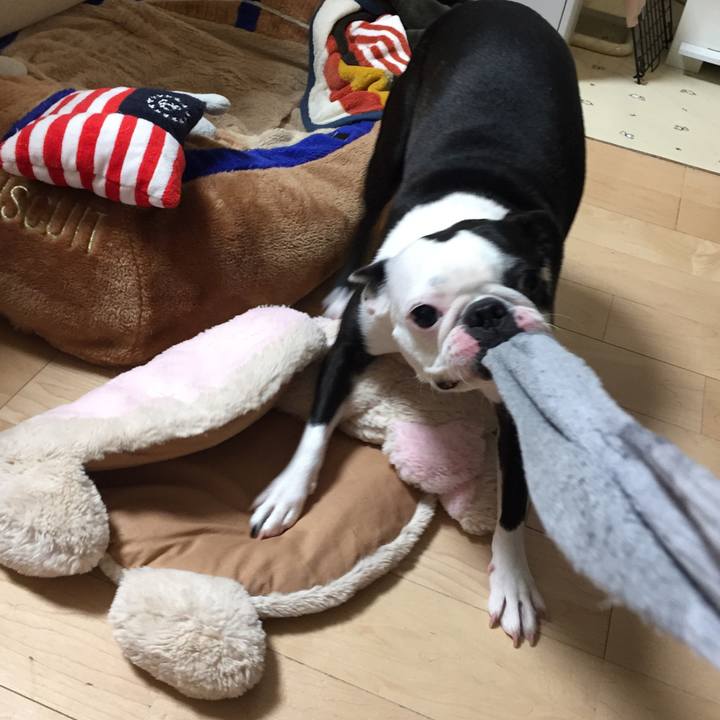 C0144782 49d3 4998 a816 5b42e96c9620