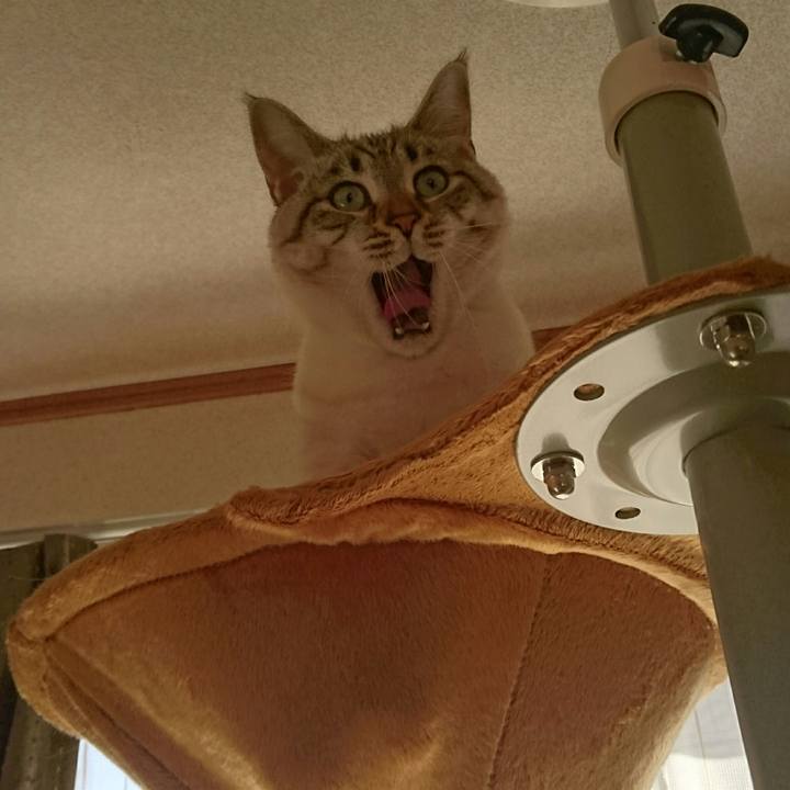 C01468bc 2025 4f15 aee6 c65fe716fdb5