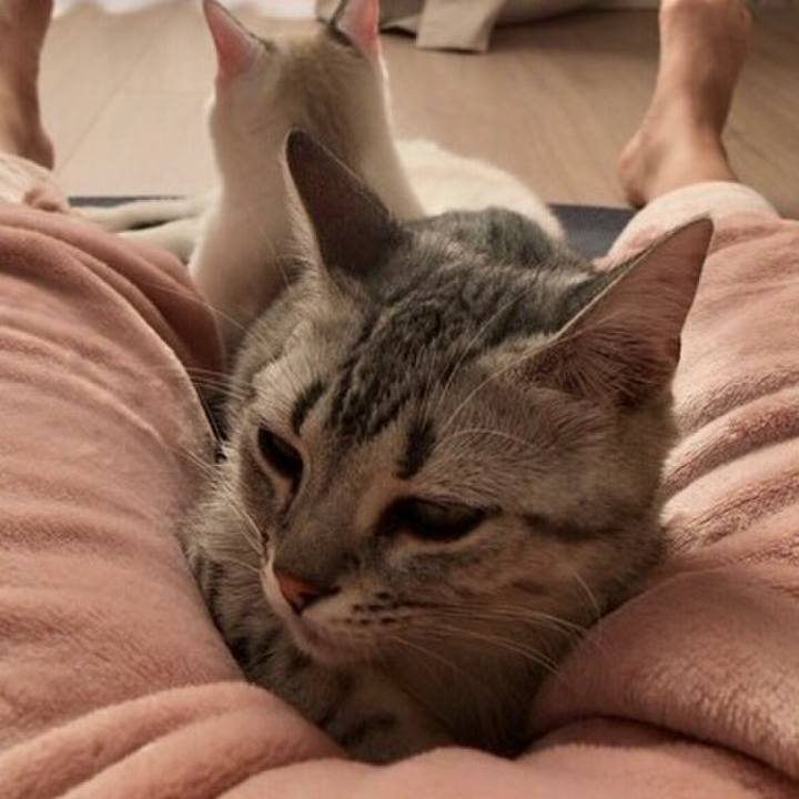 C0147397 5a68 4108 ba74 4fdc5e0fefde