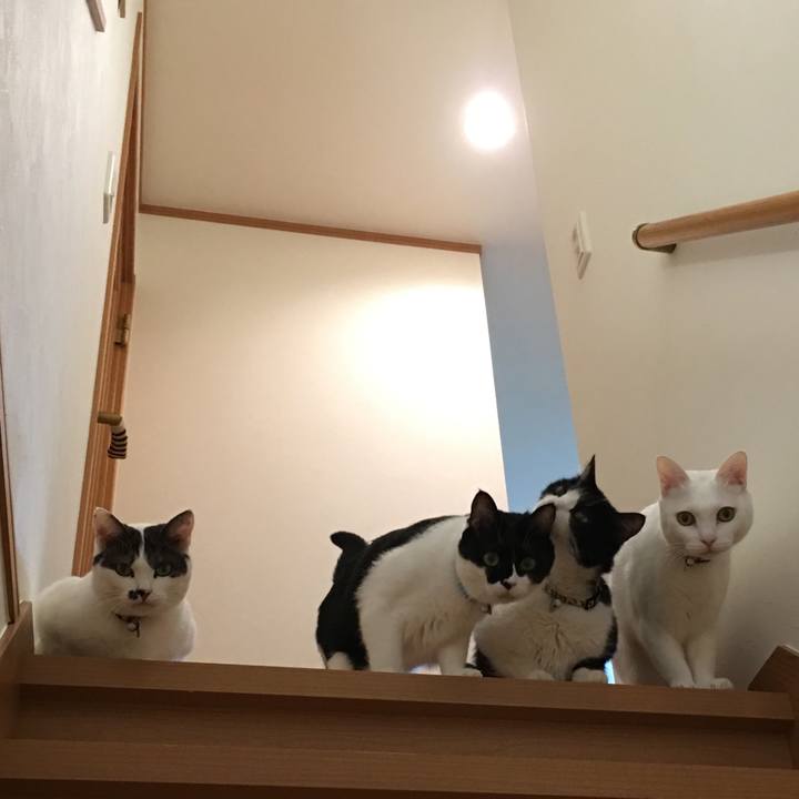 C014adf4 df25 4e18 91af 65b1d23bcd50