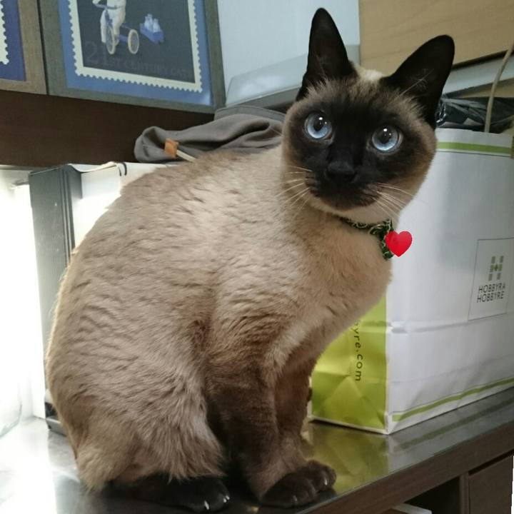 C01535a3 1006 4989 a72c f40e77eb1f7b