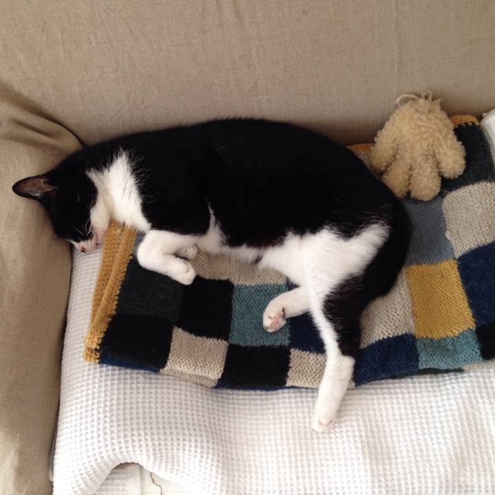 C0158b69 91e4 44b4 a6aa 29b347e97f00