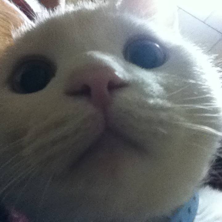 C0160257 4d7c 4ad1 a413 df22bca341c6