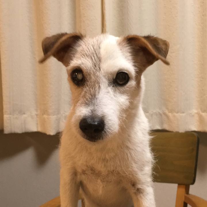 C016edce f5cd 41bc 9579 40880e8ae322