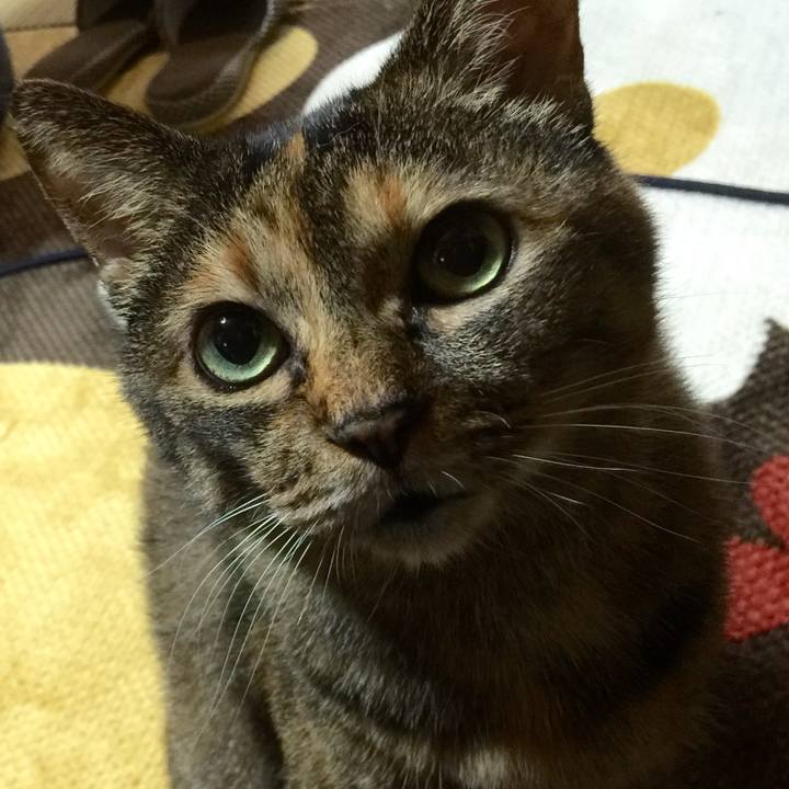 C0172f7d 9ca2 4328 94d1 112a514196ee