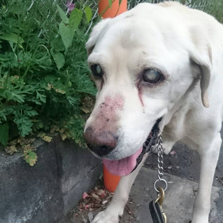 C017a375 1cb2 4124 a47a bfbeb8666b6e