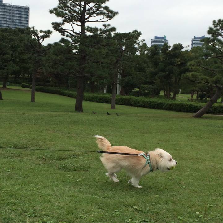 C01888a1 232b 49d0 9326 385542a7468a