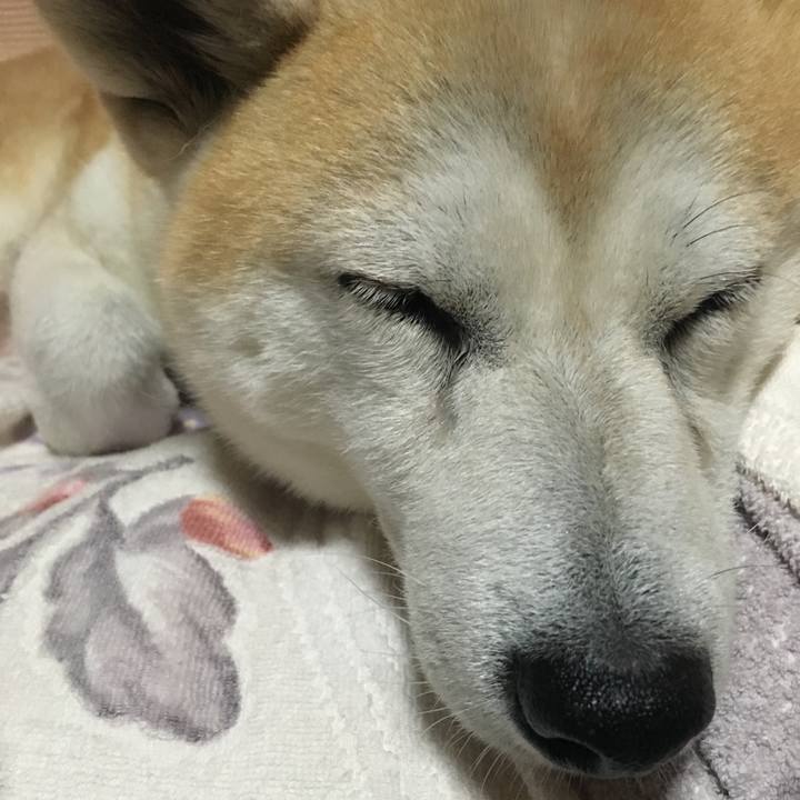 C018ae84 f0fc 4fe9 aa74 ed96baa2e178