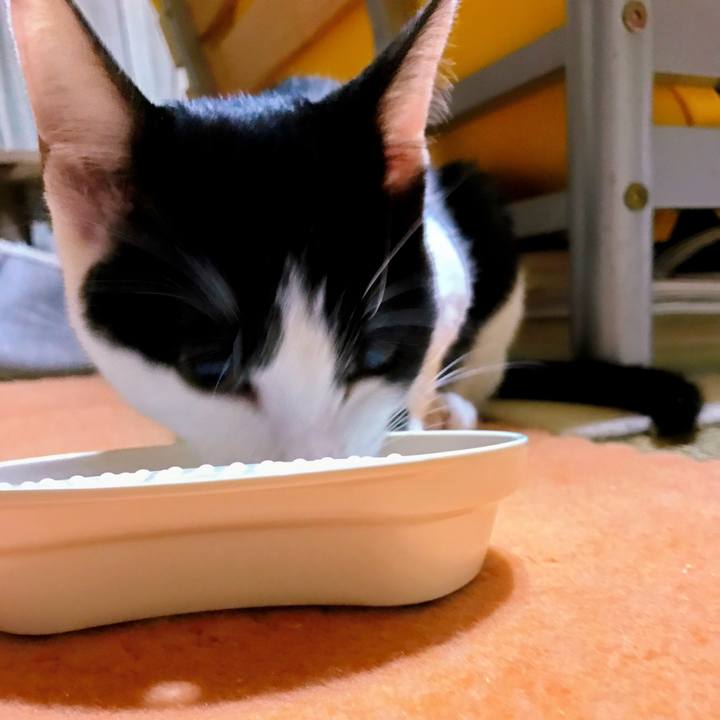 C018d007 b01c 4f5d a97e 55170ed53fbb