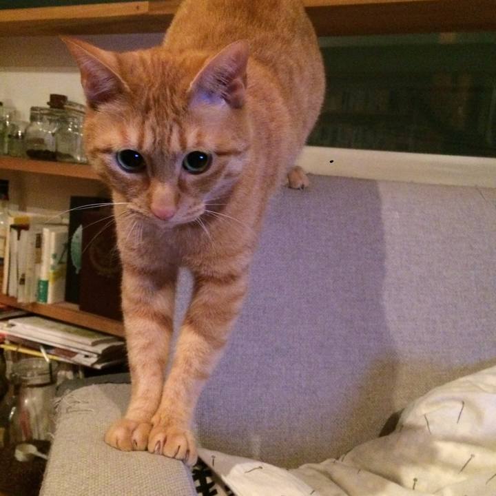 C018ec07 6b61 42f4 b162 0f8220ceeec7