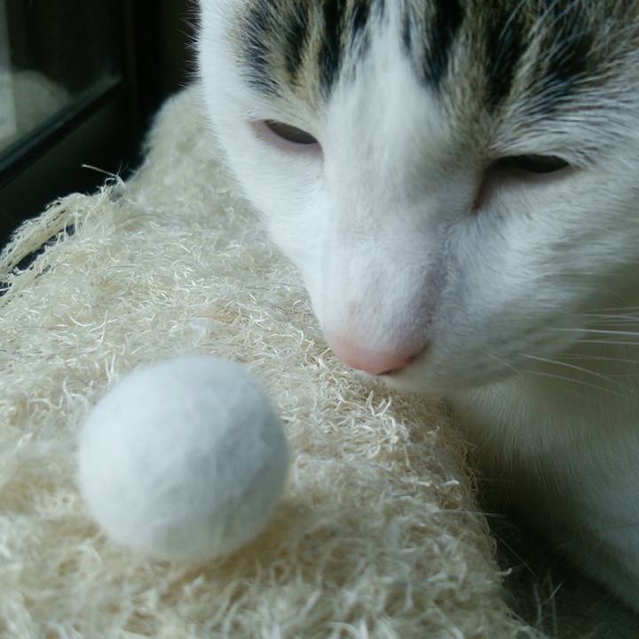 C0193b5e c02b 4307 9e03 ea326fe78458