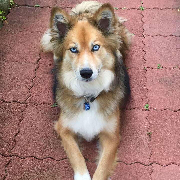 C019c673 e607 4e95 a552 d8b8e62d0ec4