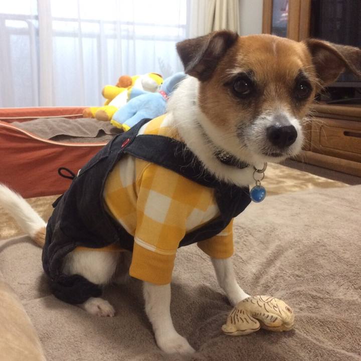 C01b1cbd b2e8 47ba af2d dd13d763e6f6