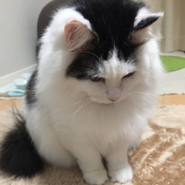 C01bcc30 8fb1 4289 87e2 5ed0dcffb556