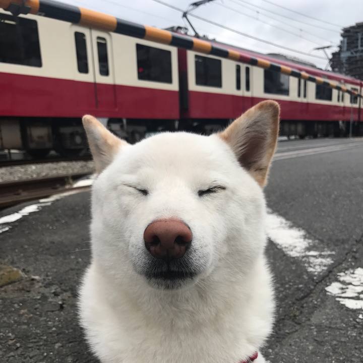 C01c5efd 7430 4b5c 923e 296f9f3ed1d8