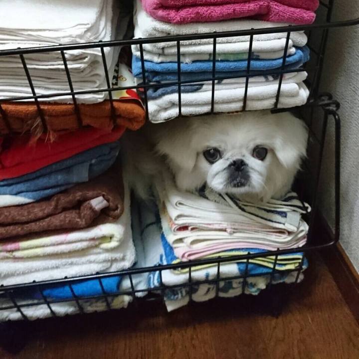 C01de523 95cd 4ec3 bcdf be0492fe6262