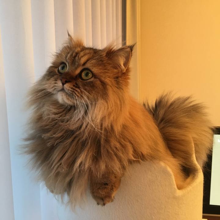 C01e4b2c 2afd 41d4 a9df 782142160dbd