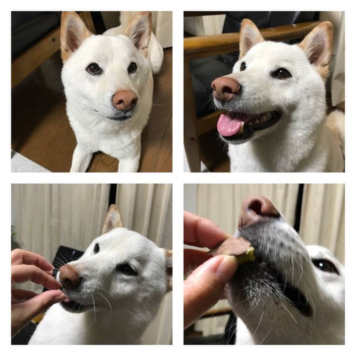 C01e4f63 d78d 4138 ba0a e41df2dd9705