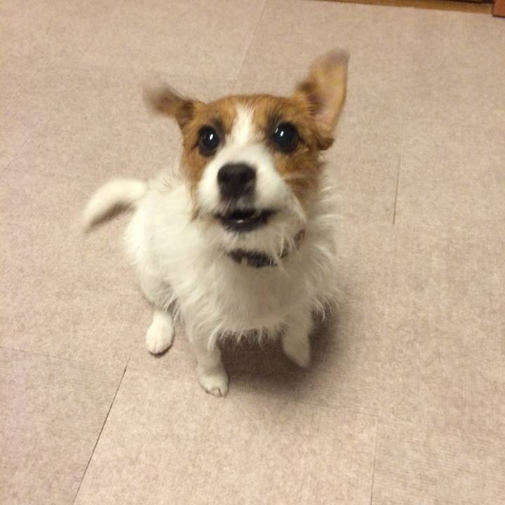 C01edd9c 61e9 4402 b143 b13d6797b1a0