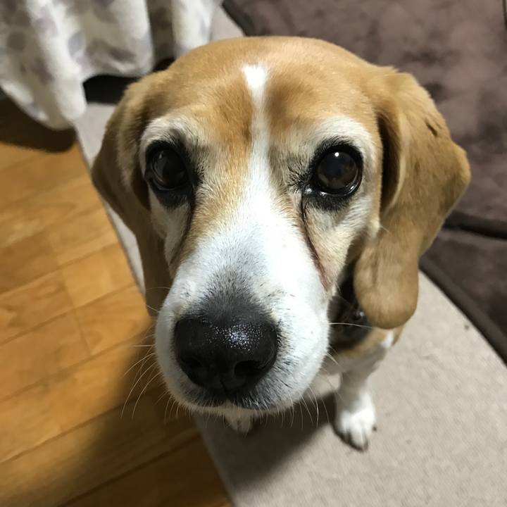 C01f9253 30a1 416a a7b7 cfa5cabe667c