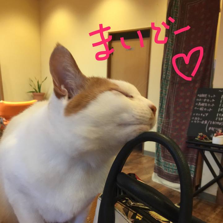 C01f9ff9 c3e6 4bc9 8c08 fbc4de690bdf