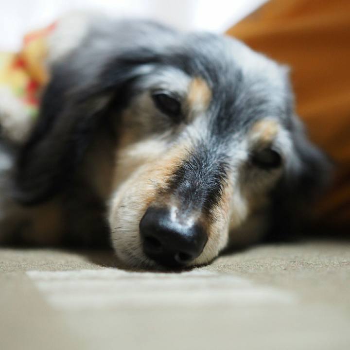 C01fc1e0 a29b 4e17 a68b 5ac37e85edb3