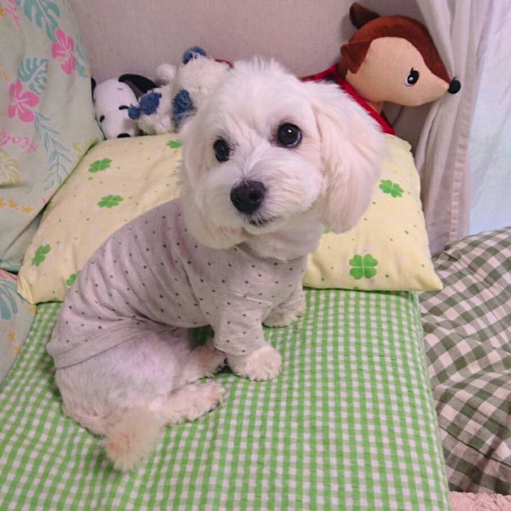 C0202868 e704 4781 89cc 20971e7025ce