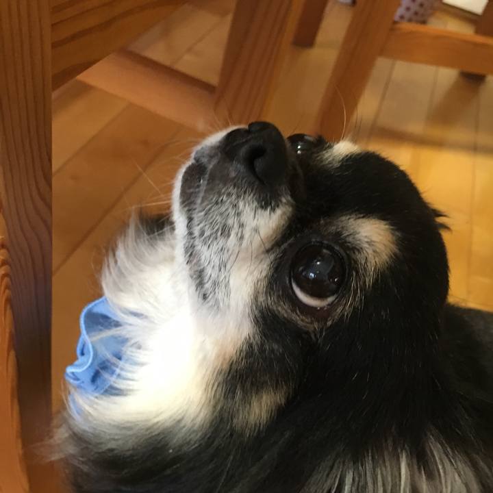 C0202ab5 6888 481e ac8c 345a721b4830