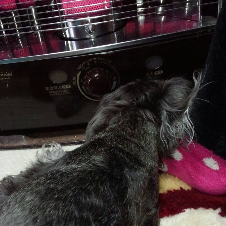 C0204061 d4a6 4762 808b b5b1990ccba8