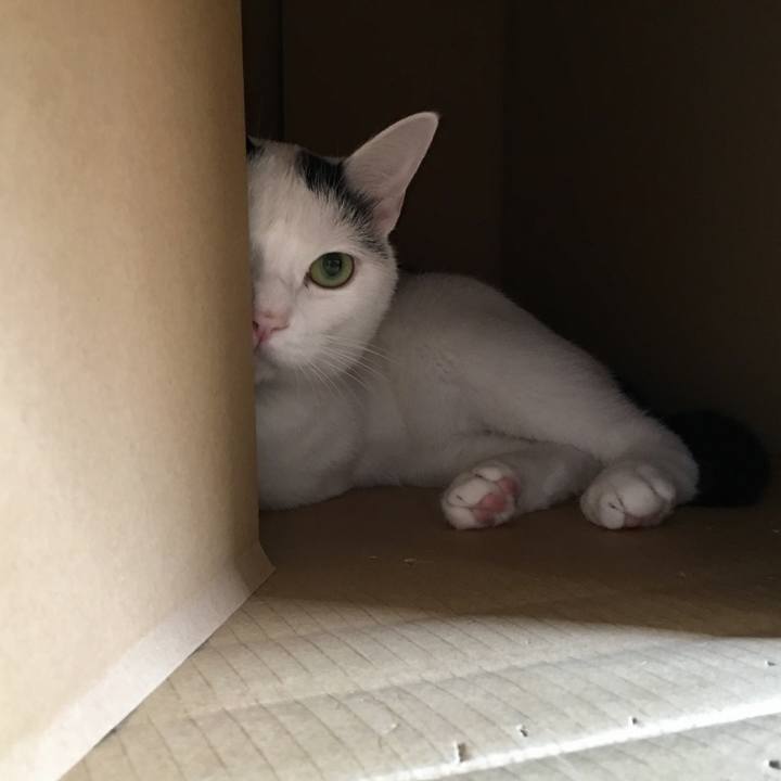 C02042f6 3495 4e5e 98c4 dea587748393