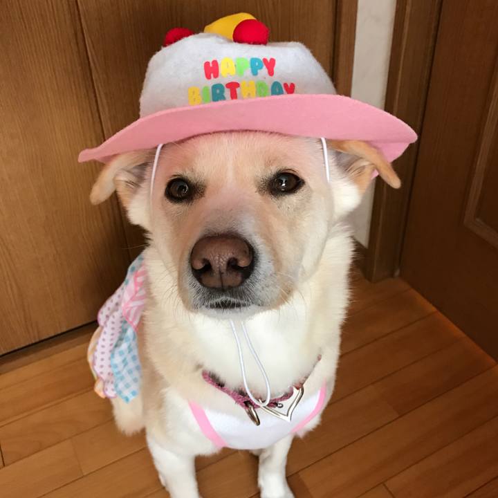 C021afd5 bcbc 446e bfb6 0c549d1e5715