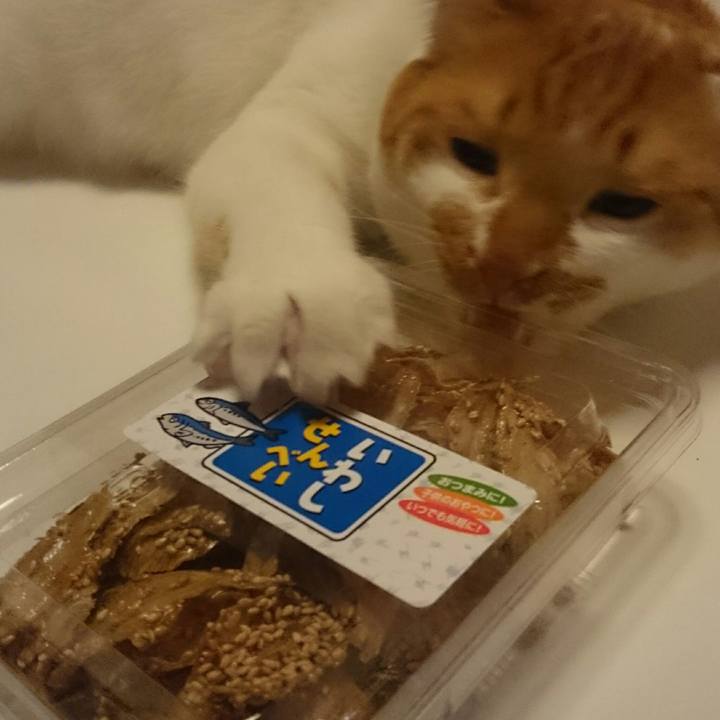 C0224e52 53a6 422f 9e8d ed7738f72090