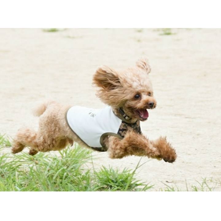 C0228fcf 2822 44dc 83e5 a2c5bc5f1843