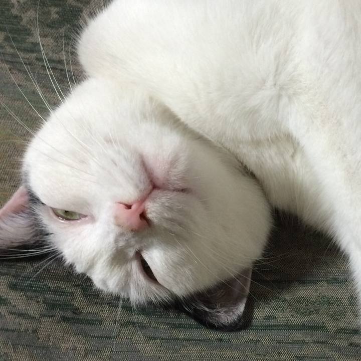 C022ef18 878f 499f bca0 fab500e185cb