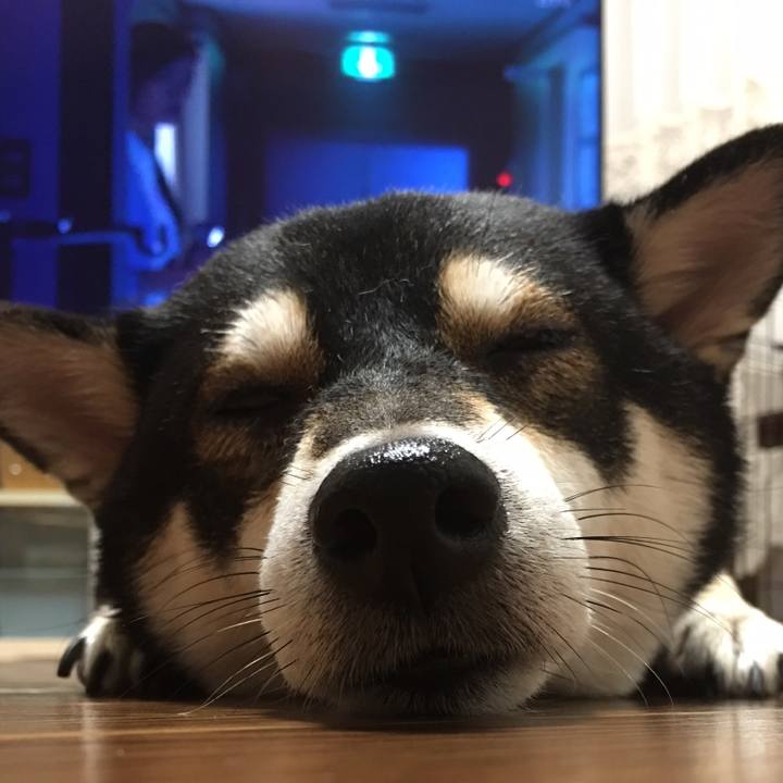 C02321df 89bf 47b3 a985 8bb1eed99d75