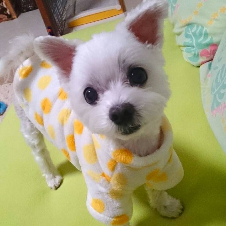 C023538c c204 4d60 b1f0 7c3848e2c90f