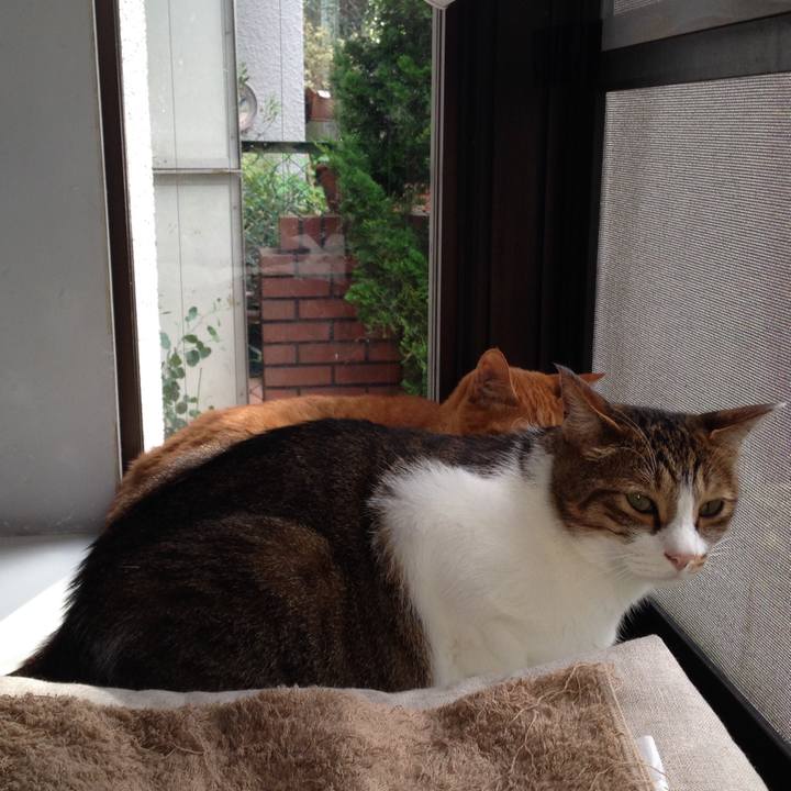 C023e81d 9fa0 4b61 9f27 12b2666a280c