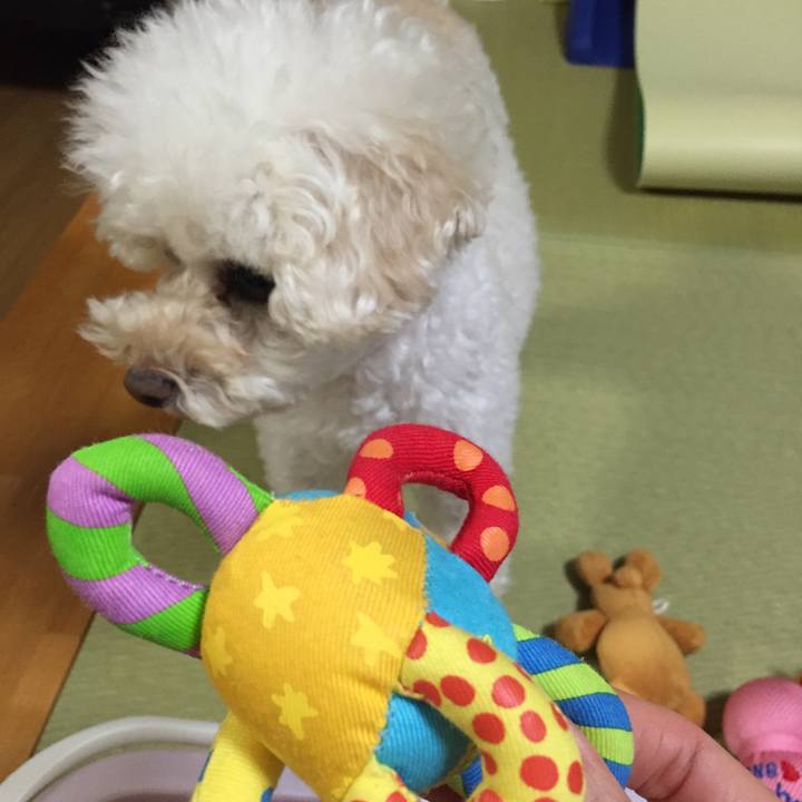 C02477f2 ca5b 48fa b73a 5aa6d4bc8345