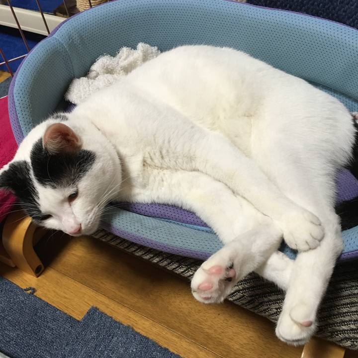 C024ac80 c91a 4a66 8830 409fb4081ba3