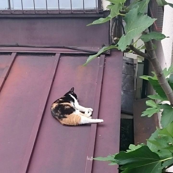 C0257ea8 3f07 4e31 9d2e 31b13bb94bc2