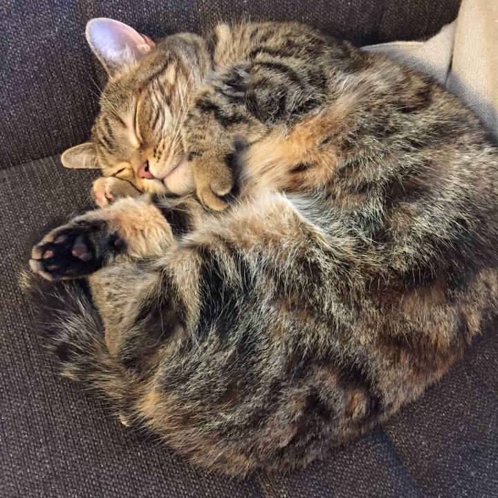 C0260e2b b82d 4fe1 8b85 a89a78562e99