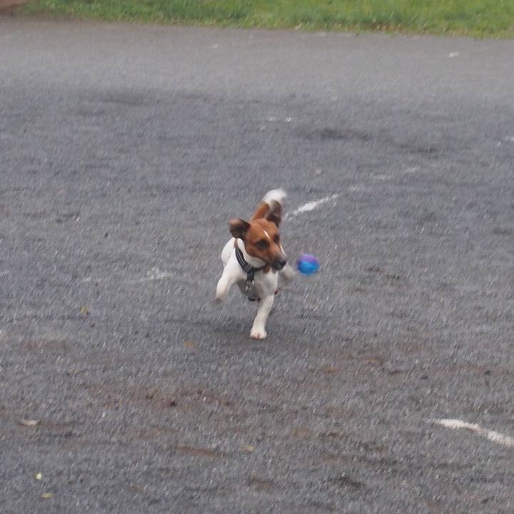 C0268659 5863 4d9a 8874 298706667d09