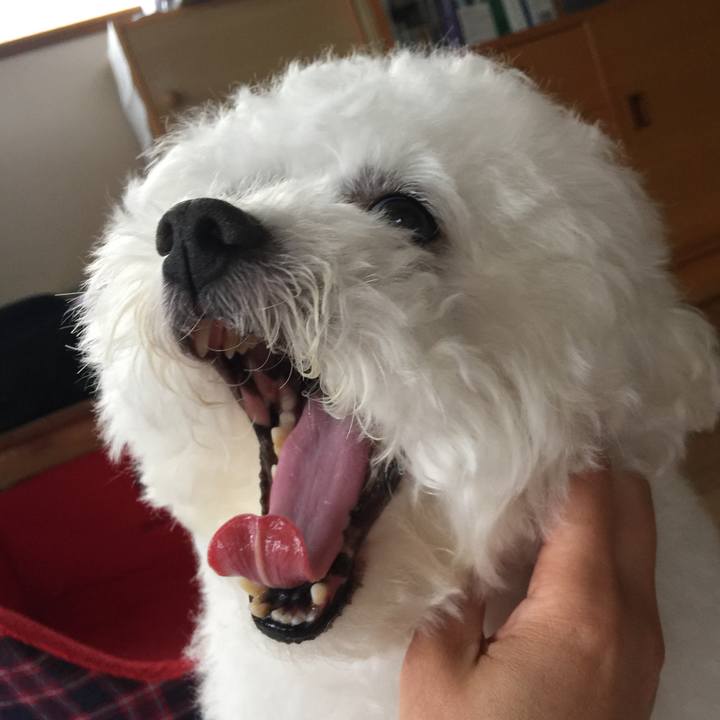 C026fb91 c454 4729 b161 52d682627d1d